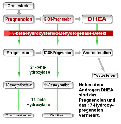 3 beta hydroxysteroid dehydrogenase